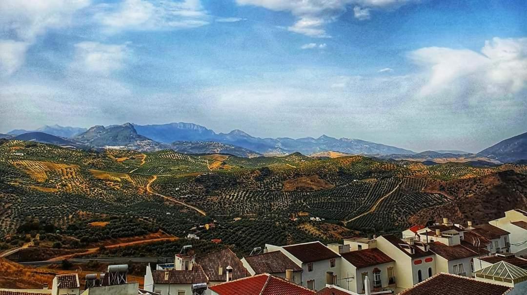 Olive Tree Bed And Breakfast Olvera Dış mekan fotoğraf